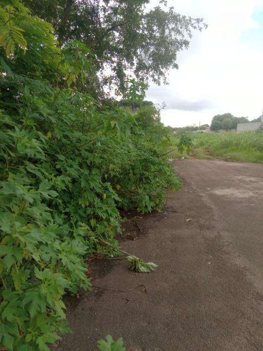 Foto 2 de 6 — "Deveria existir uma rua aqui", reclamam moradores do Jardim Imperador